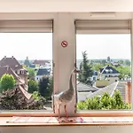 Ganzaliesele, Idéal Escapade à Deux, Vue Vosges, Gare à 2 Minutes à Pied, Centre Historique De Colmar, Lumineux Et Calme, Arrivée Autonome Apartamento *