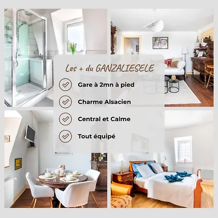 Appartement Ganzaliesele